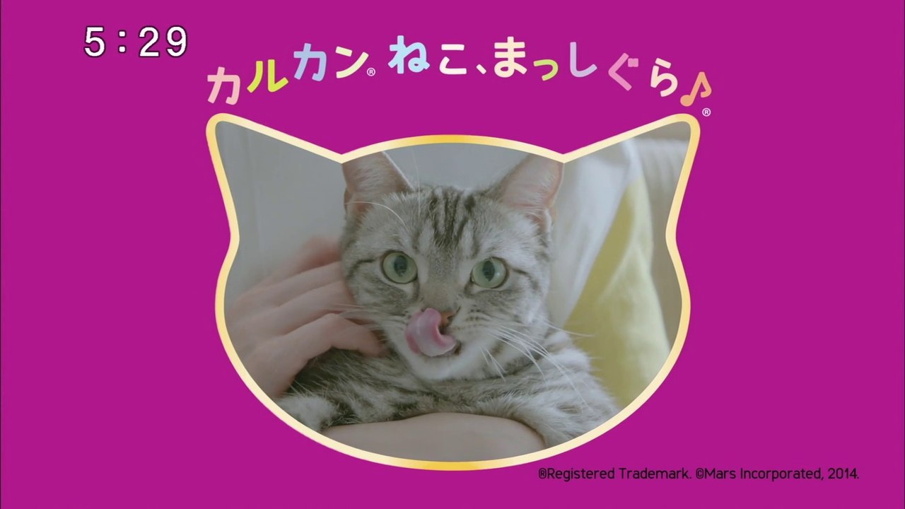 カルカンパウチ猫CM15秒