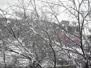 05.01.2015. ikinci etap kar. (7)