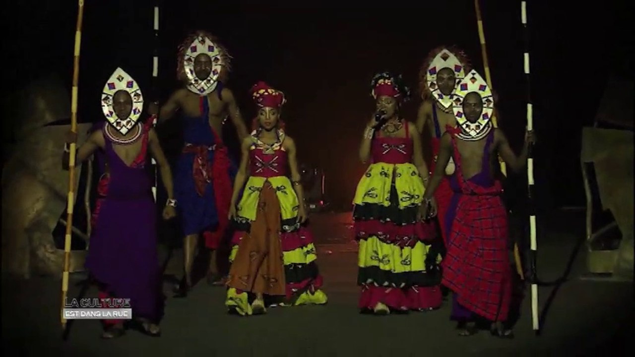 La culture est dans la rue  "Cirkafrika 2 de Soweto à Harlem"