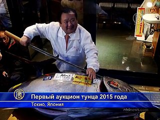 Первого тунца 2015 года продали за $37,5 тысяч