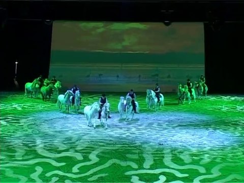 CHEVAL PASSION / LES CRINIERES D’OR AVIGNON Amicale Equestre de la Montagnette RENE COUDERT