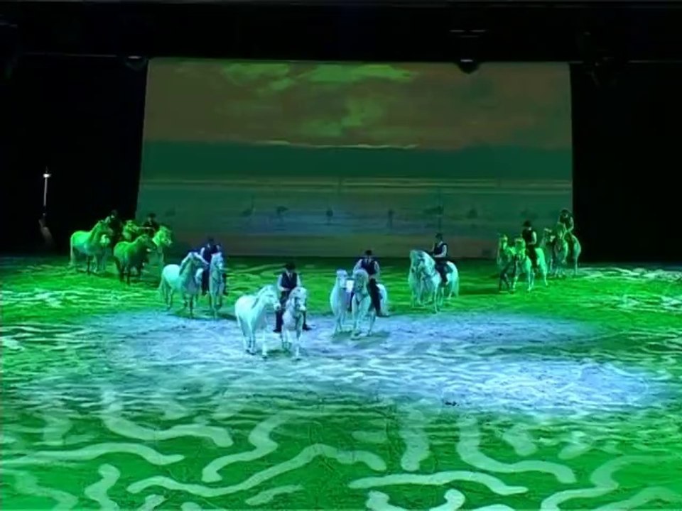 CHEVAL PASSION / LES CRINIERES D’OR  AVIGNON  Amicale Equestre de la Montagnette       RENE COUDERT