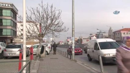 İncir Ağacı Ocak Ayında Meyve Verdi