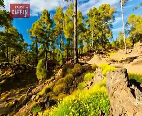 Il filme le paradis sur terre !