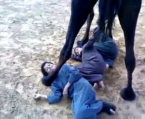kida lying under camel amazing watch n share