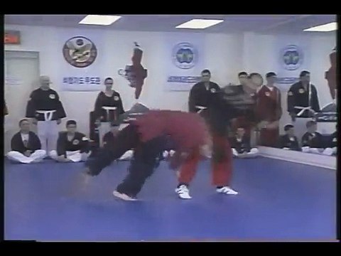 Martial Arts Lawrenceville Georgia