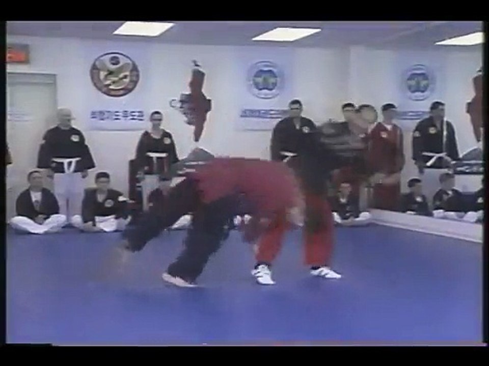 Martial Arts Lawrenceville Georgia