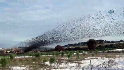 Gökyüzüne imza attılar