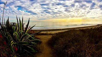 National Geographic Live! - Greg Long Big Wave Rider