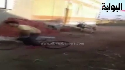 "المصري معروف بجبروته".. مواطن يحول حماراً إلى ونش لرفع الطوب