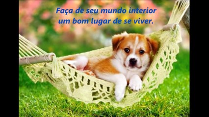 Para viver Uma Vida Feliz (A Essência da Sabedoria)