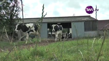 CLE-P&S et sa démarche d'approvisionnements laitiers responsables [TéVi] 15_01_05