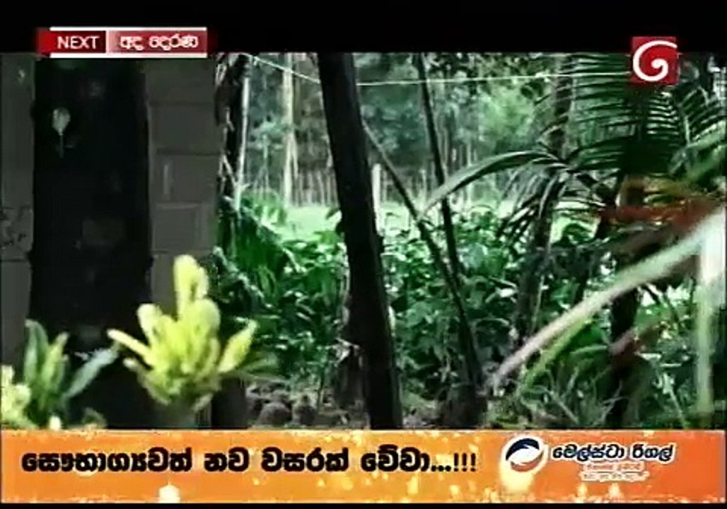 AMMA