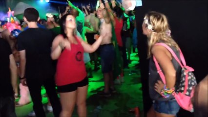 Girl signs song lyrics for her deaf friend at music festival