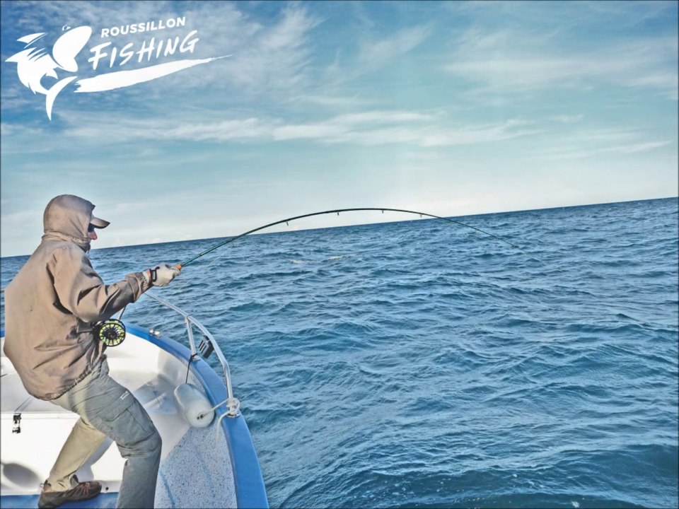 BFT on the Fly _ Mickael M & Gurglepig flies