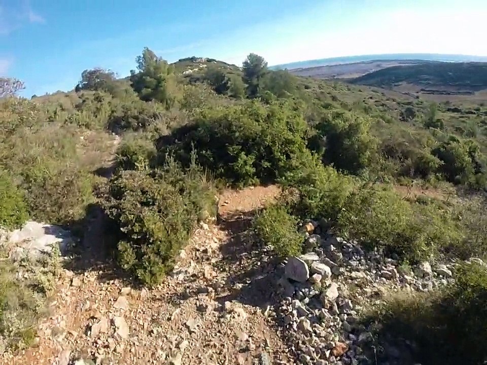 les ruches coté rapide