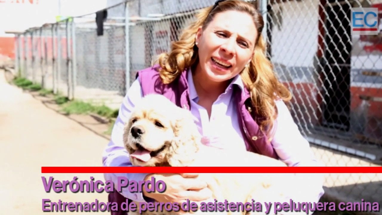 Verónica Pardo: 'Cuando tengo un momento difícil abrazo a mi gato'