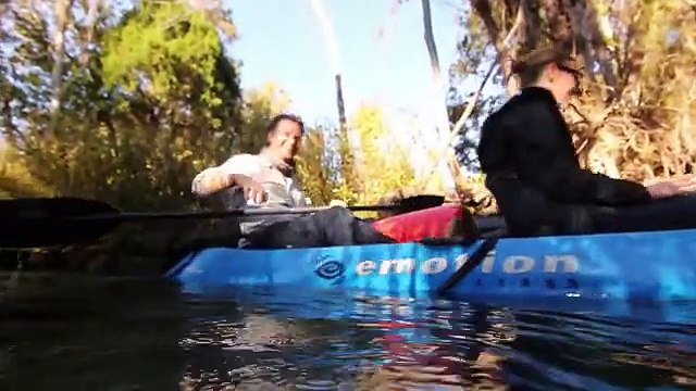 Natural Springs Offer a Unique Encounter With Manatees