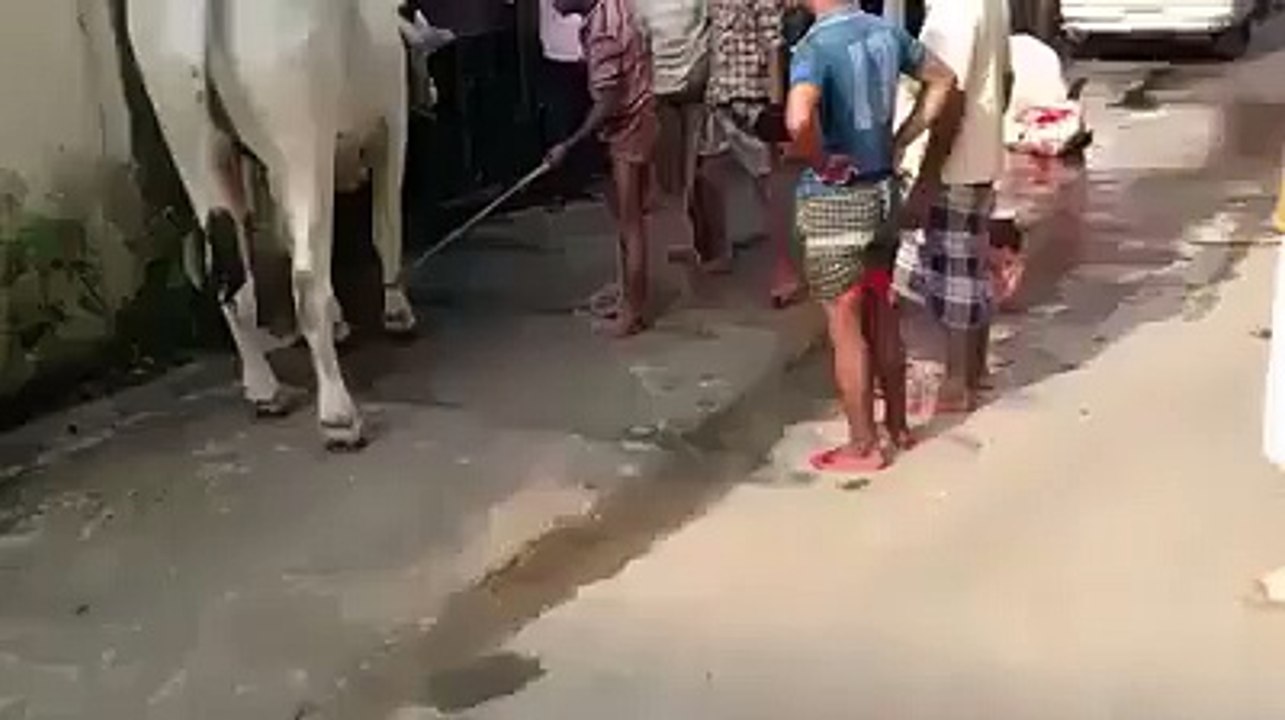 What a kicked