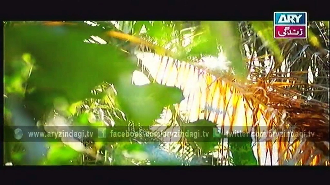 Rishtay, Episode 151, 5th January 2015