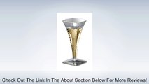 Squares Mini Champagne Flute, 2 oz 96 Disposable Clear Plastic Glasses Review