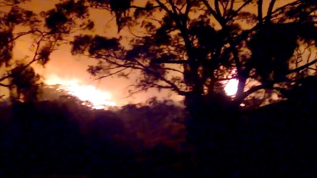 Wildfire sweeps through southern Australia