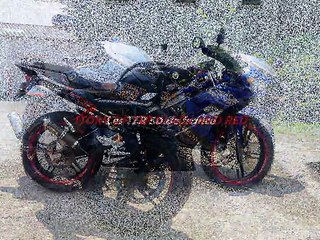 Story of tzr Black and Red