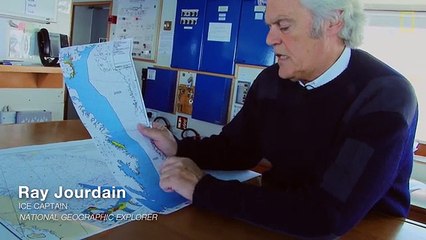 Polar Bear Encounter in Canada's High Arctic