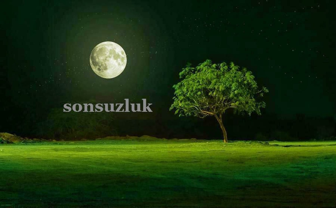 yaylada yeni doğmuş