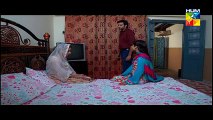 Agar Tum Na Hotay Last Episode Full 6 January 2015 Hum TV