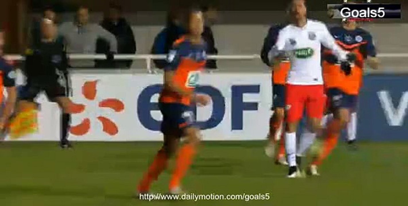 Zlatan Ibrahimovic Goal Montpellier 0 - 2 PSG Coupe de France 5-1-2015