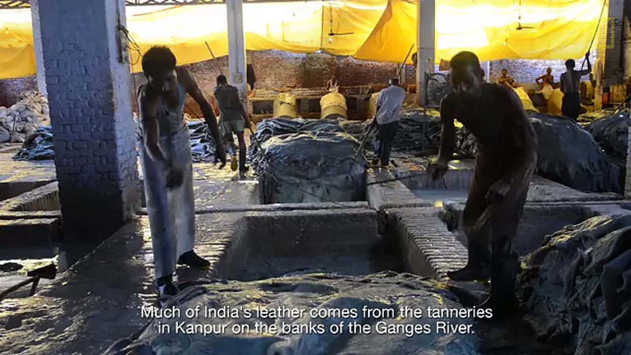 The Ganges Inside an Indian Tannery