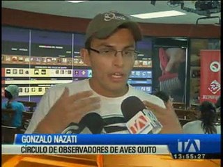 Se realizó observación y conteo de aves en 9 lugares de Quito