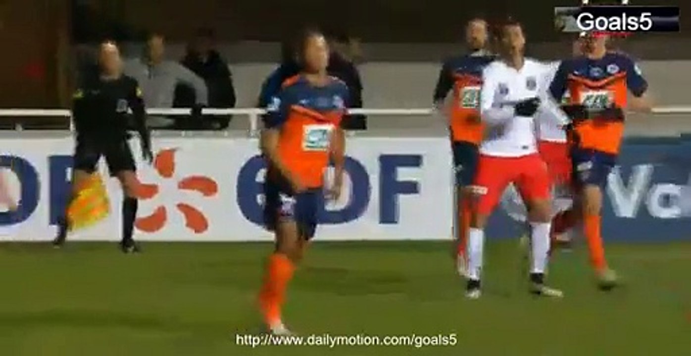 Zlatan Ibrahimovic Goal Montpellier 0 - 2 PSG Coupe de France 5-1-2015