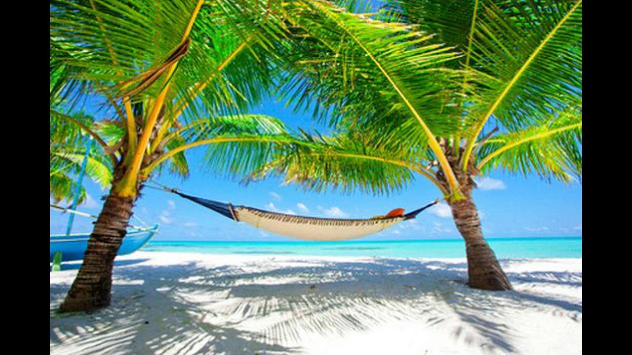 Take me where the sun is shining !