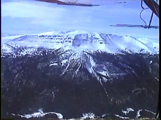 Bella Coola Natural History: Aerial Survey