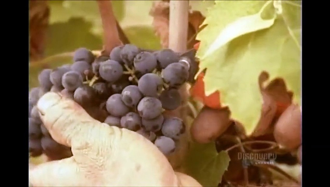 How Its Made - 062 Wine