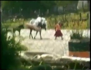 Pljacka Bosnjacki kuca nakon pada Srebrenice