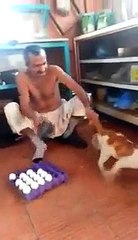 VID-20141015-WA0001.mp4