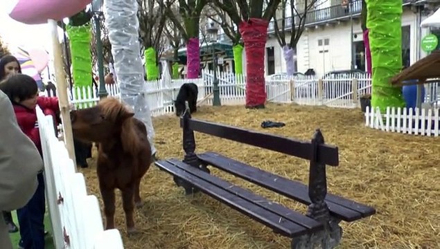 MICHOU64 W-D.D. PRÉSENTE - 28 DÉCEMBRE 2014 - PAU - NOËL ANGLAIS - CE DIMANCHE JOUR DE RELACHE AU VILLAGE ENCHANTÉ.