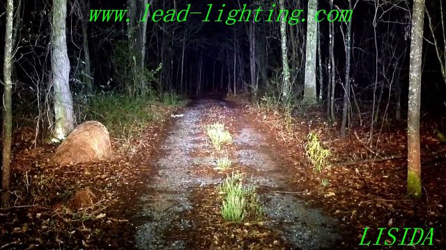 outdoor led flood lighting lamp with wholesale price