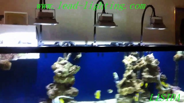 IP65 motion sensor led flood light