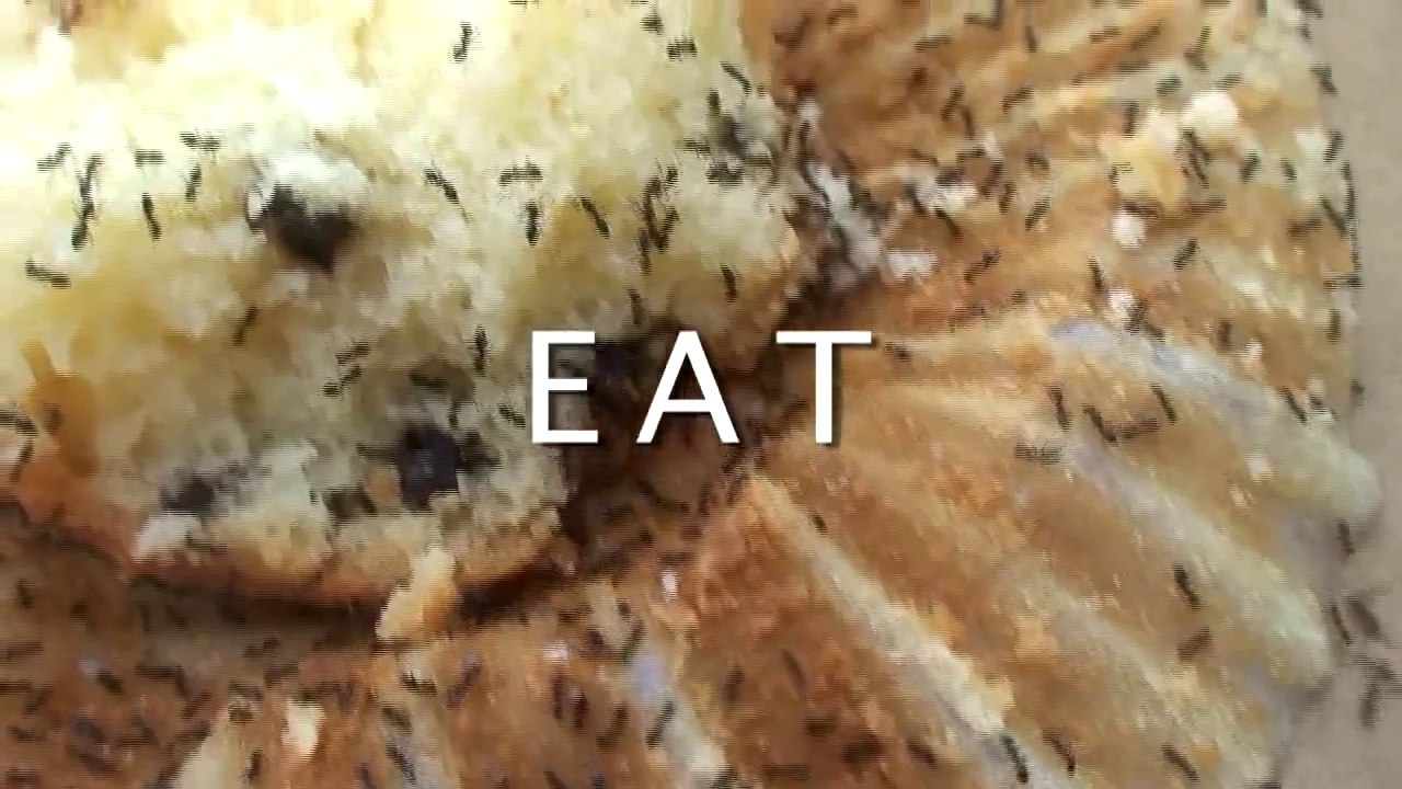 Un gars mange un Muffin pas très appétissant... mais plein de protéines!