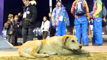Whatever Happened to the Rescued Sochi Ten