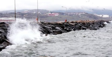 İDO ve BUDO Bazı Seferlerini İptal Etti