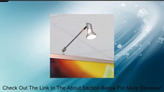 Banner Stand Light Review