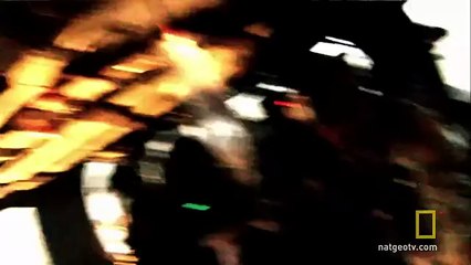 Wounded on Board: Animal Adventure 🌍