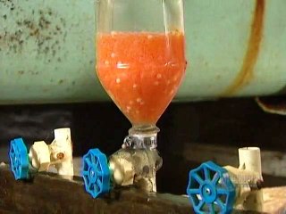 How Its Made - 091 Fish Farming