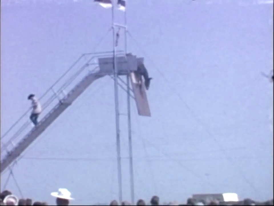 Crazy Horse Diving from 20m high in a pool!