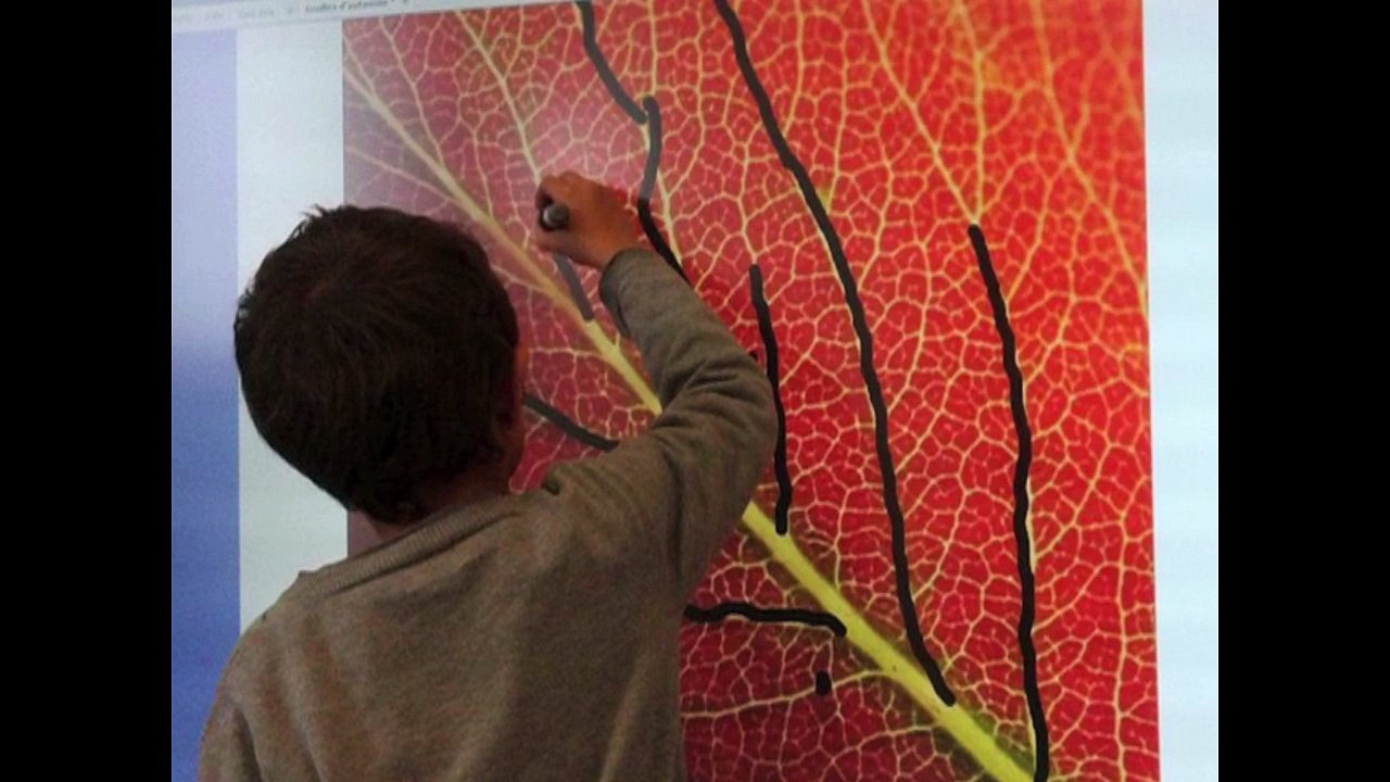 graphisme avec visuel